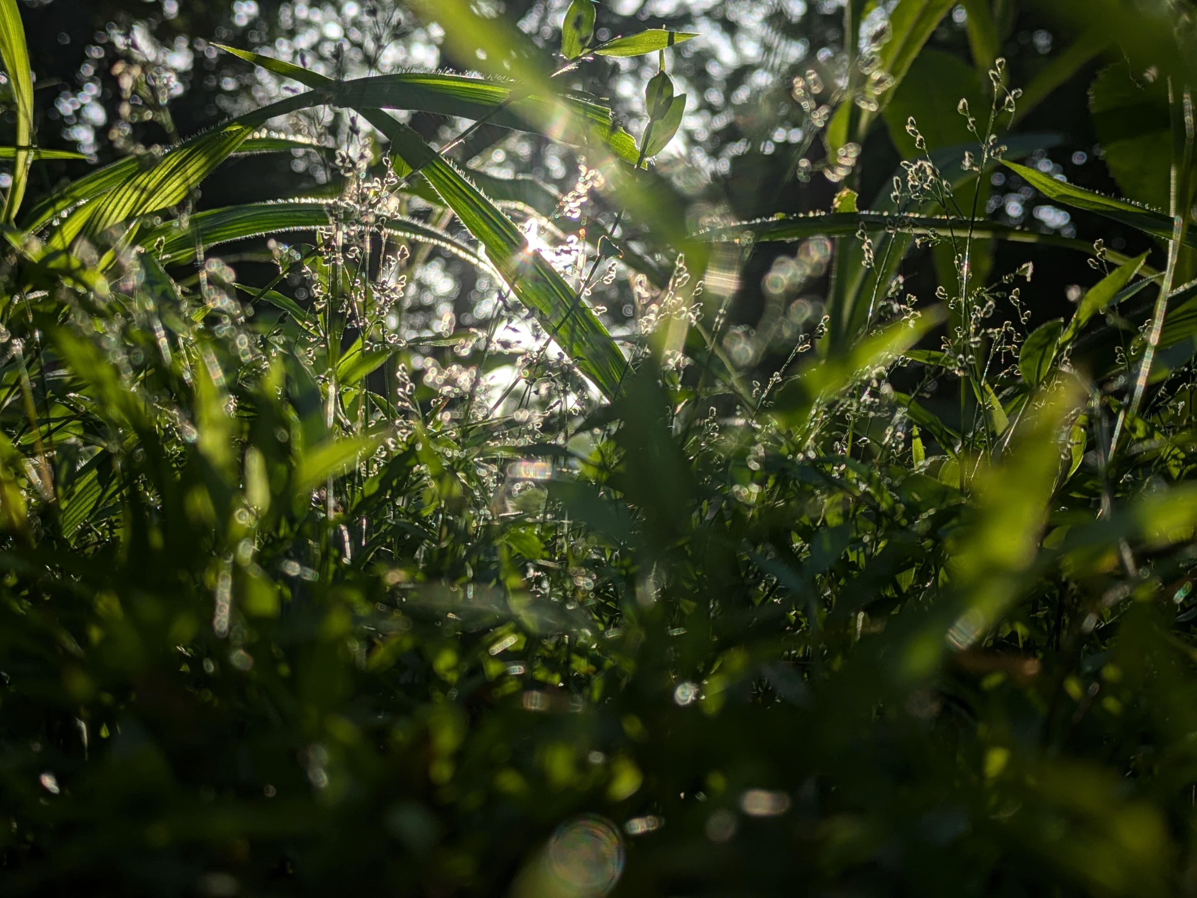 A split image showing environmental threats on one side and a group of empowered youth on the other.