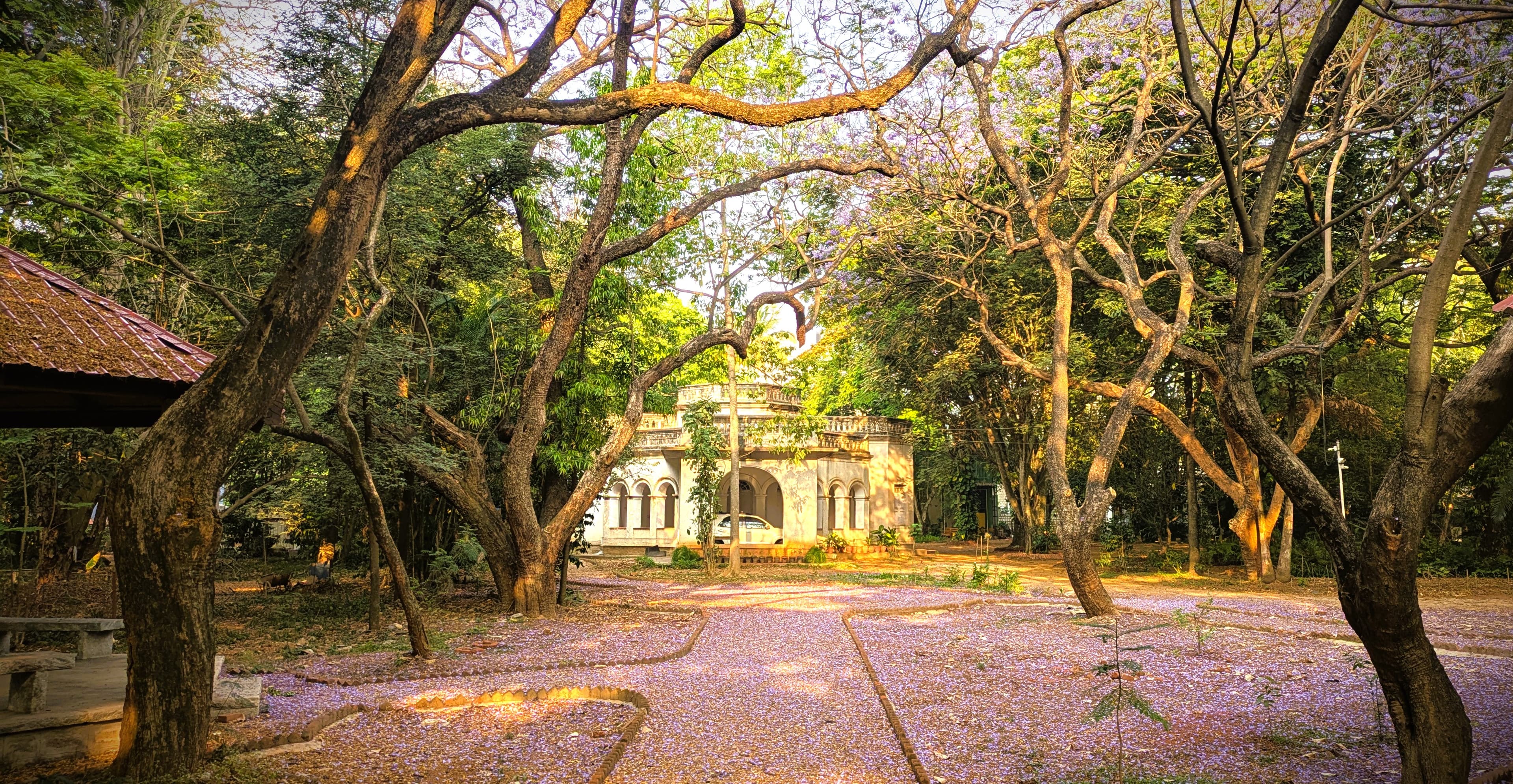 Corporate Partnership Program